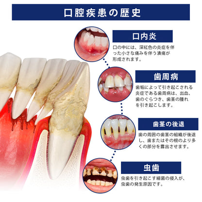 CleraNaure® BeeTakt 蜂毒デンタルトリートメントドロップ洗口液
